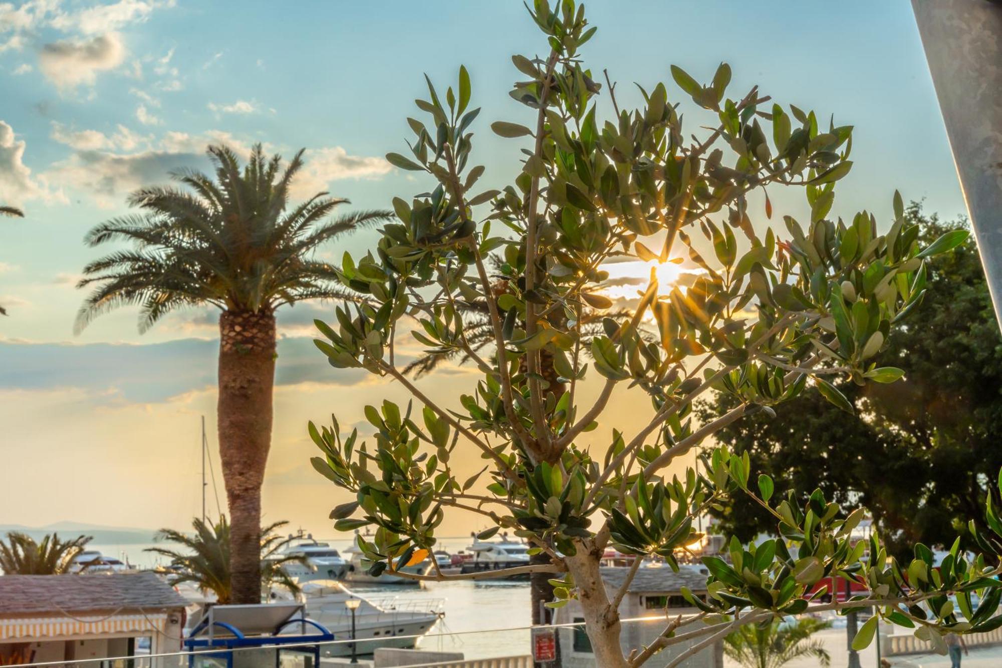 Grand Hotel Slavia - Adults Only Baška Voda エクステリア 写真